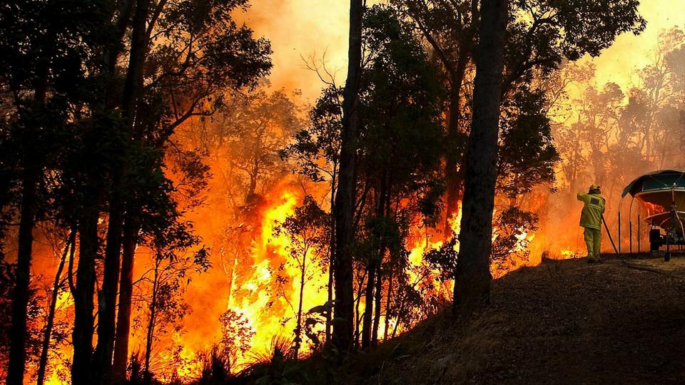 Hvorfor Er Der Skovbrande I Australien